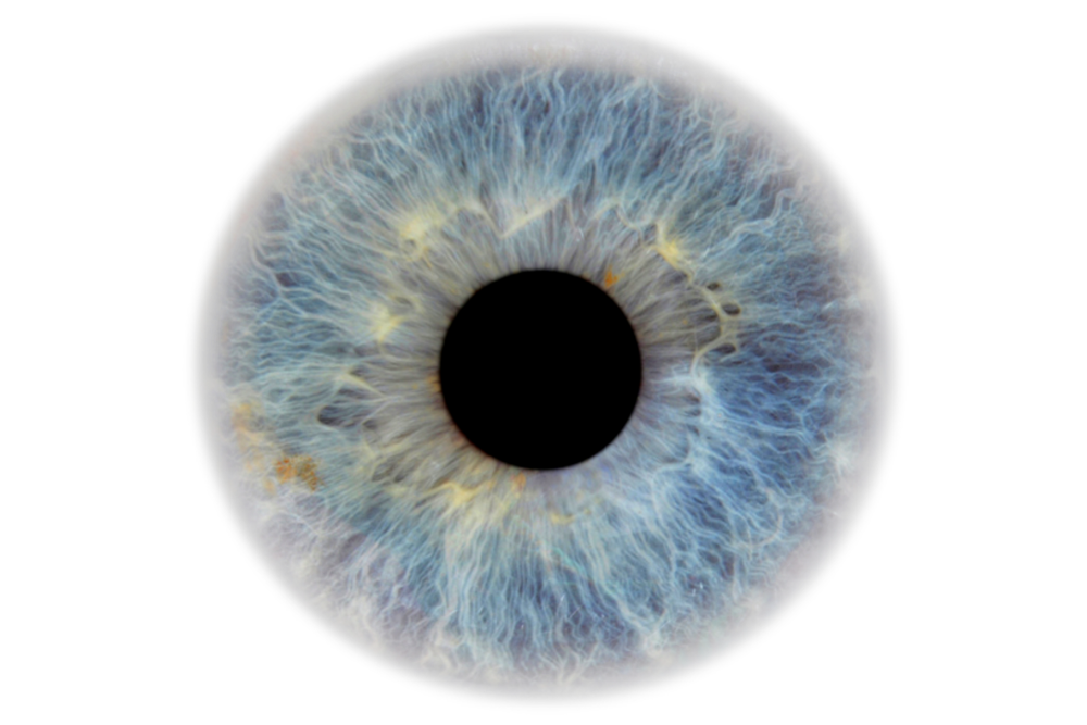 Image for Retinopathy and eye screening